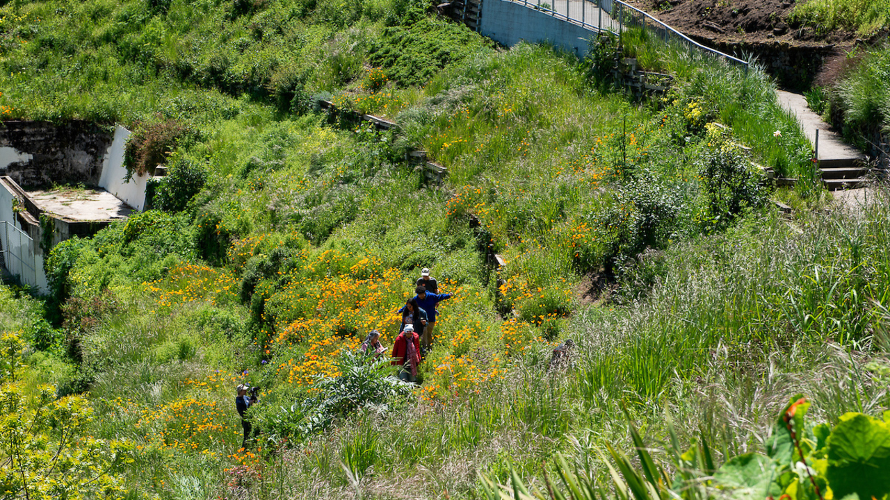 Tourists enjoying Black Point Historic Gardens 
