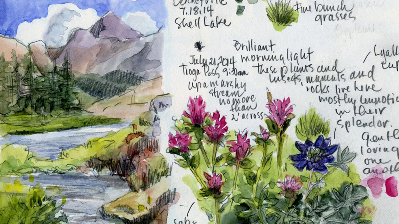 Example of nature journal page layout. 