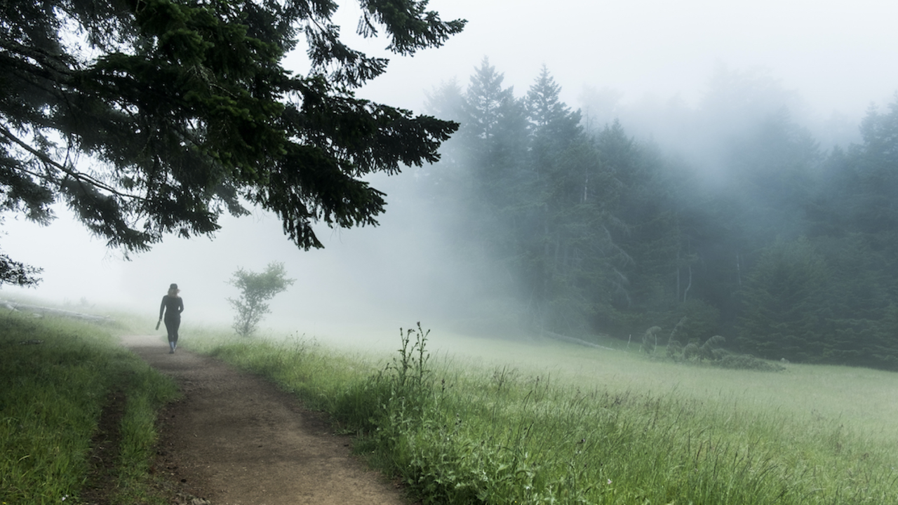 Foggy trail on Mt. Tam
