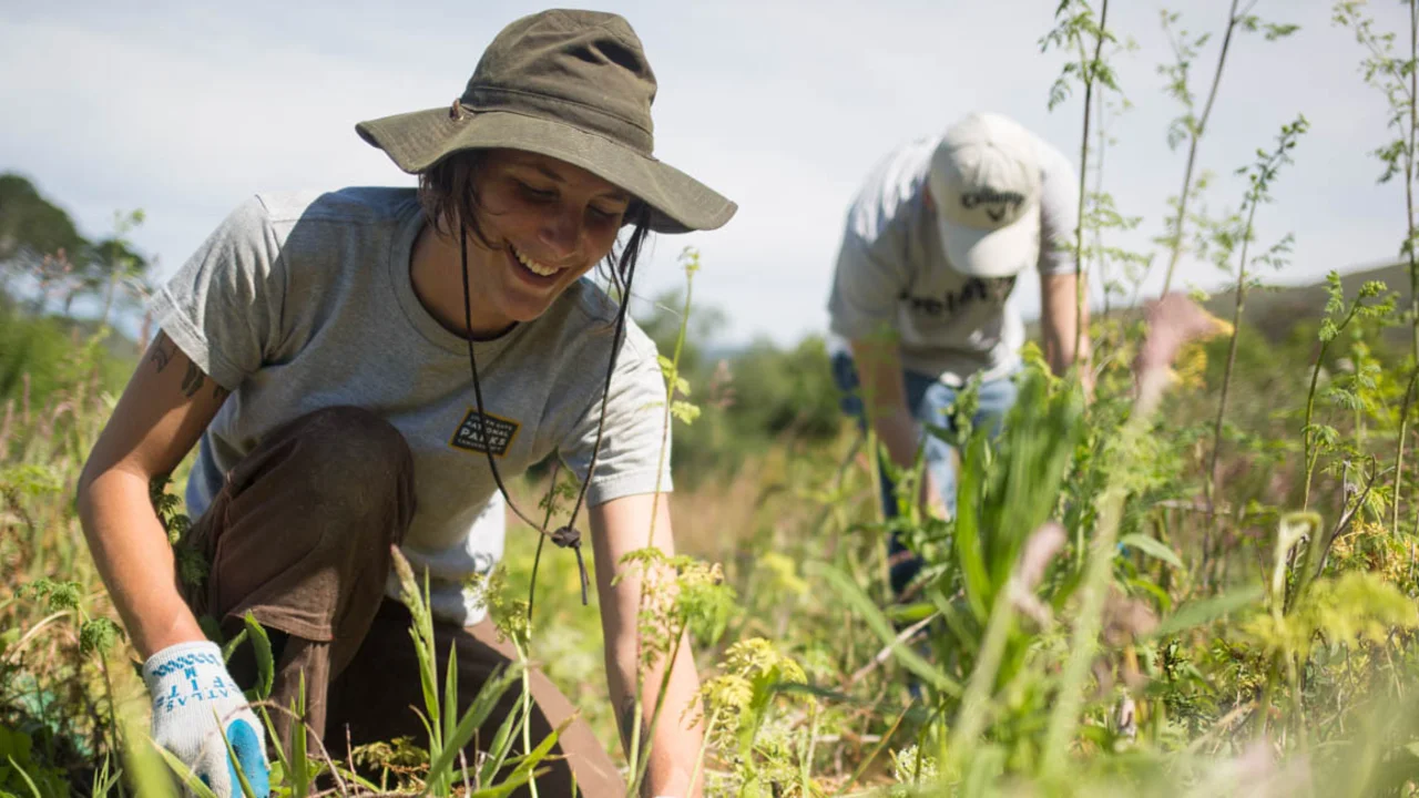 Stewardship Intern at Work