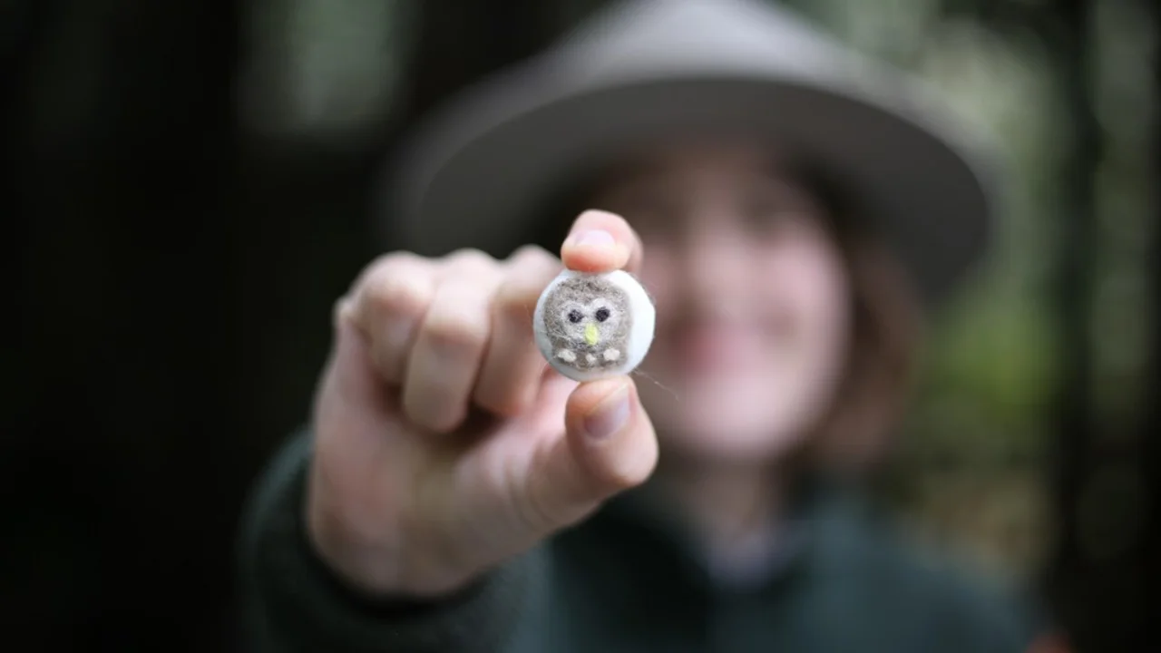 An NPS ranger holding a small handmade felt animal to the camera at Muir Woods