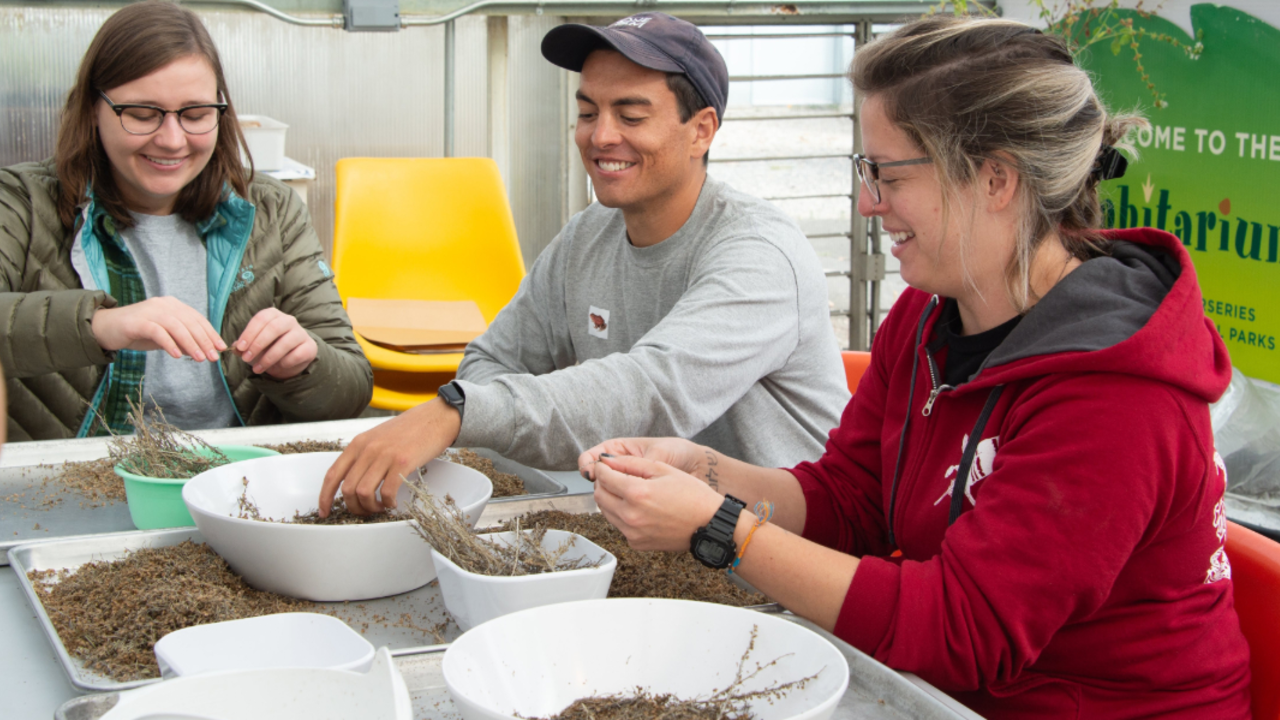 Presidio Nursery volunteers work with seeds