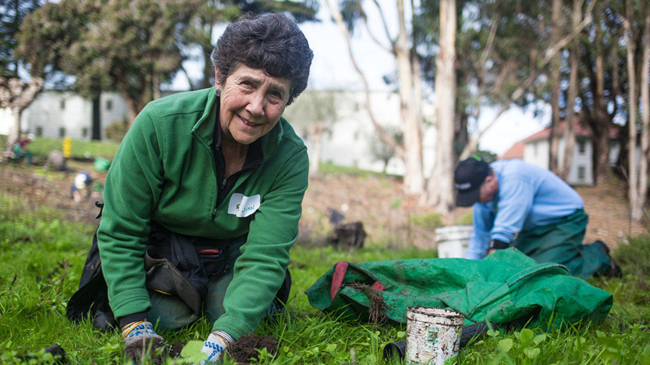Volunteers Working on the Presidio Bluffs
