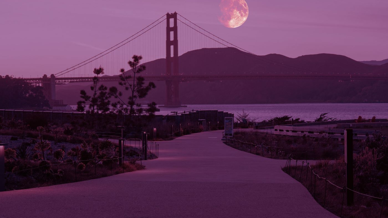 PinkMoon-2024-EDIT-v2-web.1.jpg Pink Full Moon at the Presidio Tunnel Tops