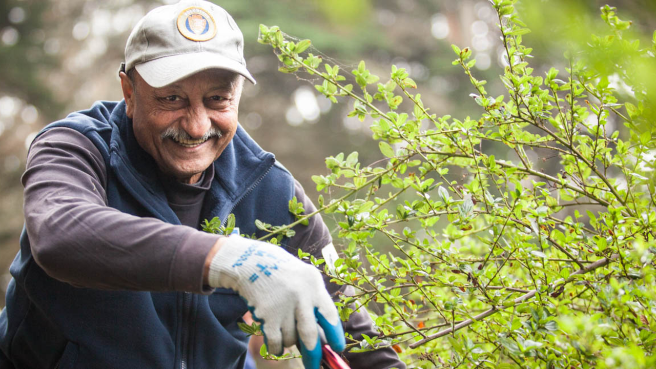 Presidio Volunteer