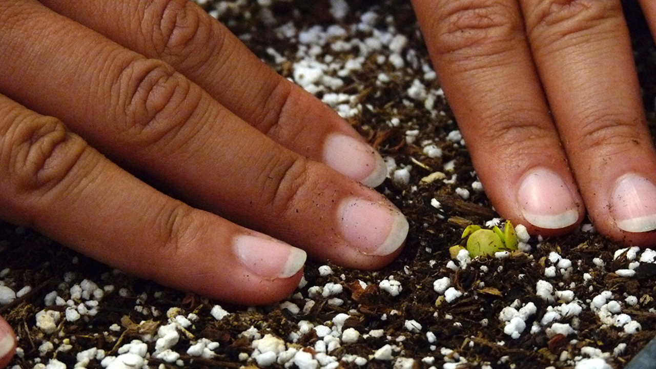 Soil Health Series, Park Academy