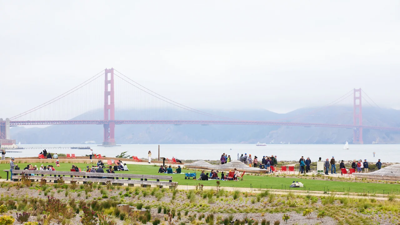 View of Bridge on a foggy day from Presidio Tunnel Tops west lawn