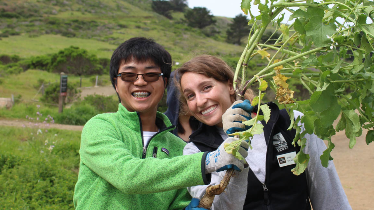Park Stewardship Intern and Volunteer