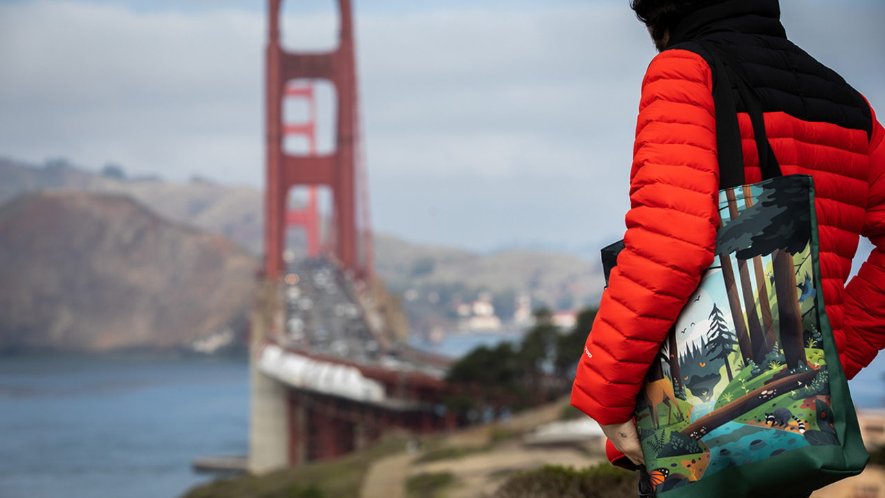 Person holds a tote bag with forest scene while gazing at the Golden Gate Bridge.