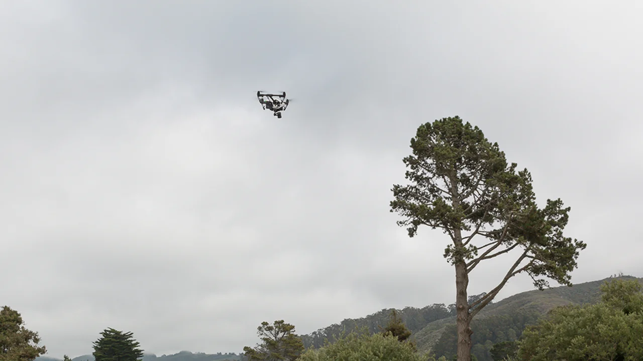 drone