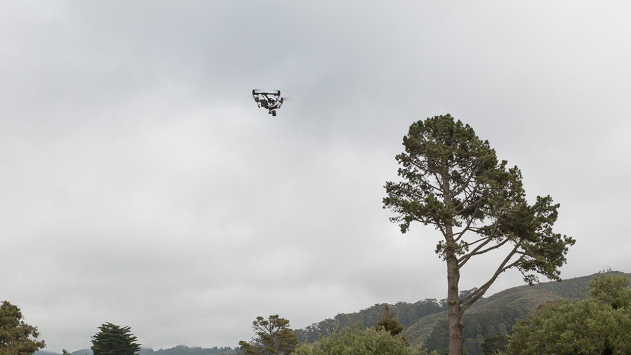 drone
