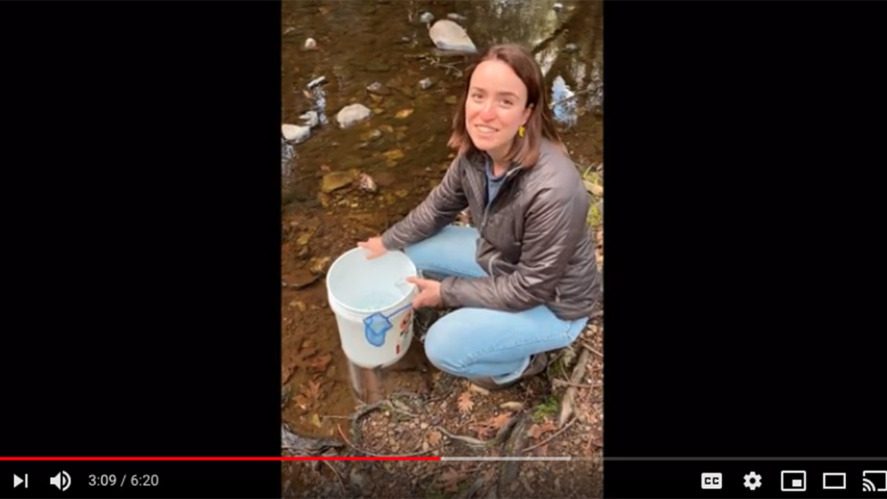 A teacher connected with her students via video for their trout release.