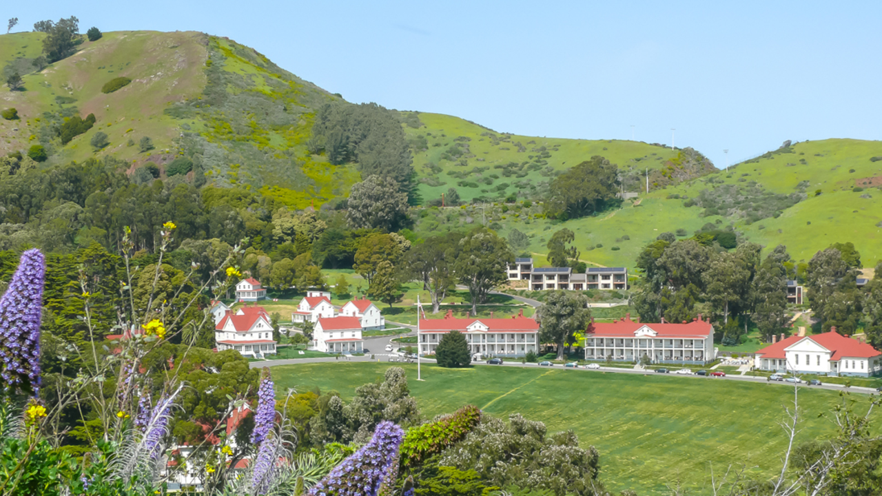 Large purple plants adorn the foreground of a sweeping view of military barracks on a large grassy field