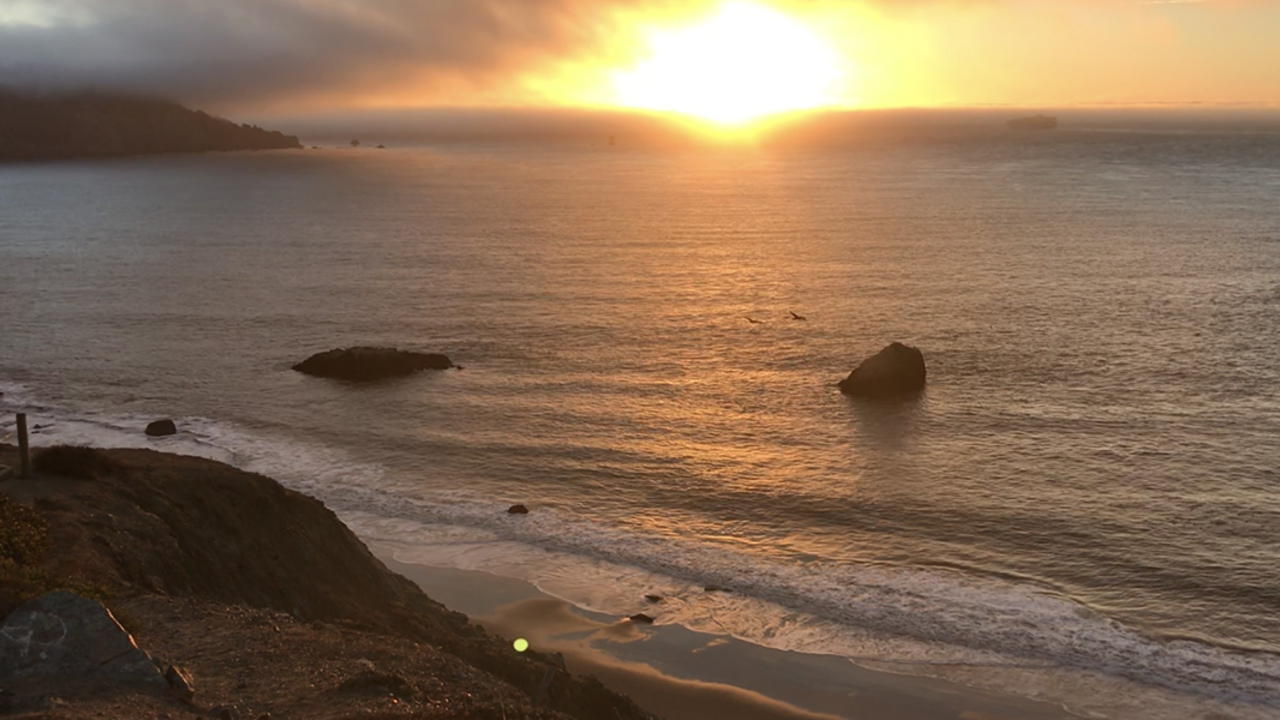 A view of the Pacific Ocean from the Presidio bluffs.
