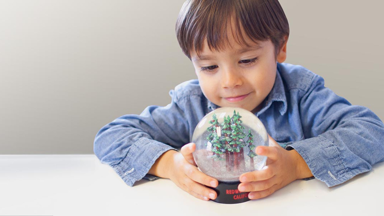 Redwood fog globe, available at Parks Conservancy stores and online. Redwood fog globe, available at Parks Conservancy stores and online.