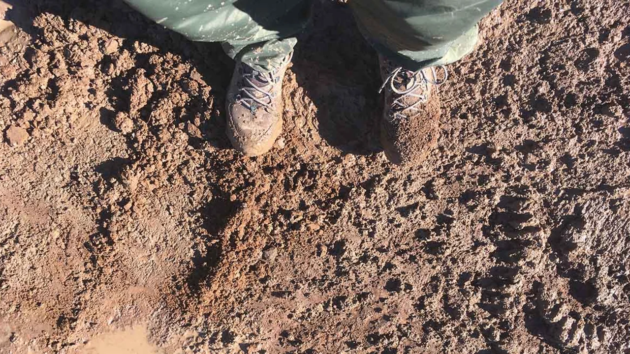 Our trails need your TLC.