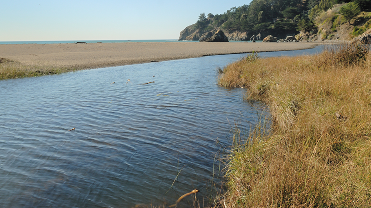 MAHE_081103_MPe_3_2x1.jpg Muir Beach