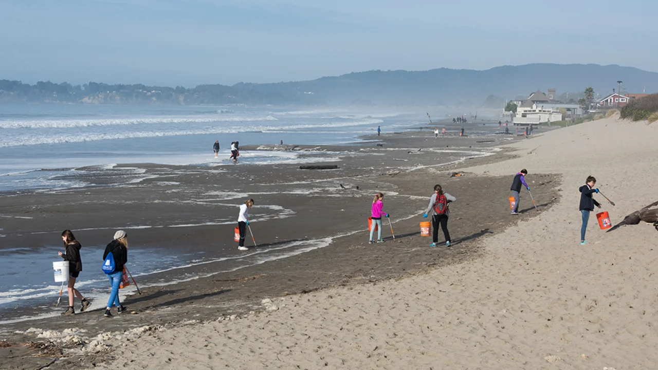 MLK Day of Service at Stinson beach