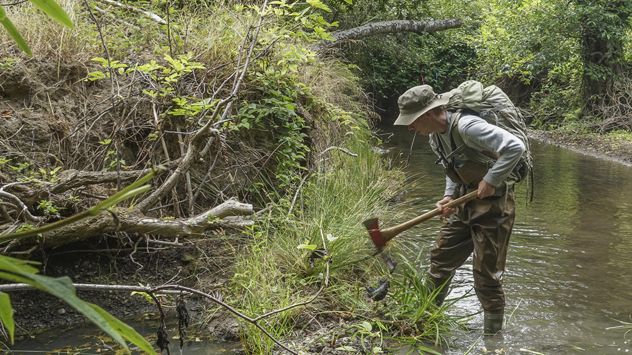 Crew lead Elliot Gunnison hacks at a weed in Redwood Creek.