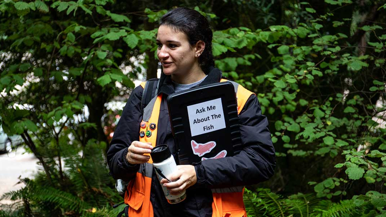 Parks Conservancy Public Information Coordinator Melissa De Gant helped visitors understand the scope of the Redwood Renewal project in Muir Woods.