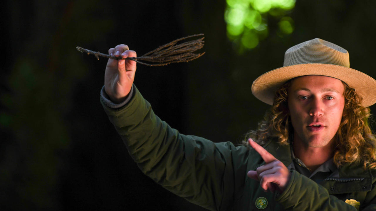 Ranger Jace delivers a ranger talk at Muir Woods National Monument. Ranger Jace is holding up a a branch with redwood needles and pointing to it in their uniform.