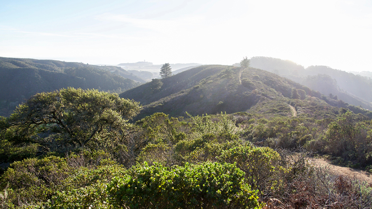 A trail at Rancho Corral de Tierra in San Mateo County. 