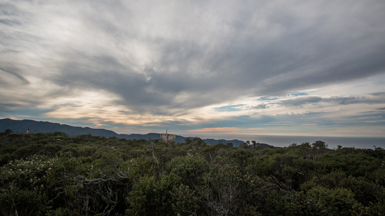 SWRI_20171125_RCW_2_2x1.jpg Gray clouds over chapparel on Sweeney Ridge in San Mateo County