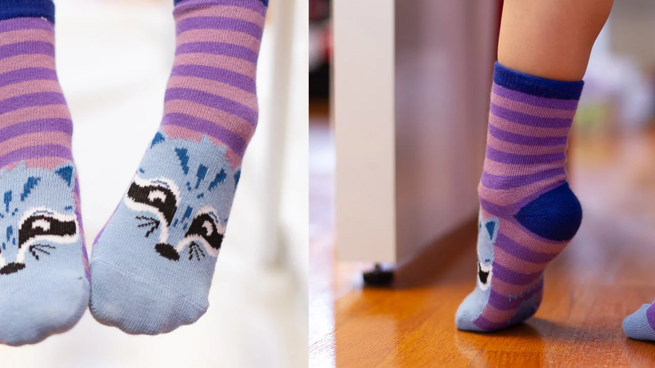 San Francisco Critter Socks Collection.