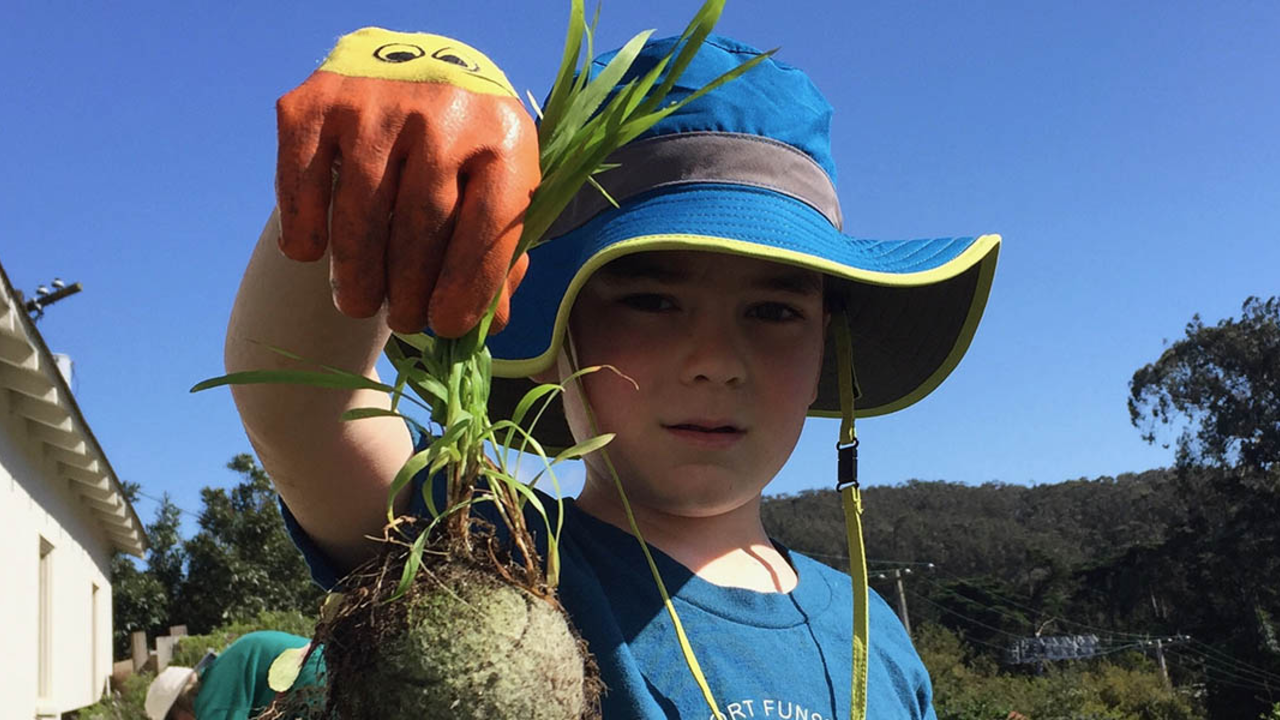 A young volunteer holds up a small plant attached to a tennis ball at the Presidio Nursery. A young volunteer holds up a small plant attached to a tennis ball at the Presidio Nursery.