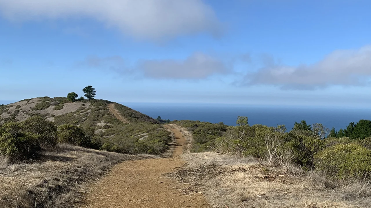 An image of a dirt walking trail with a view of a blue sky and the blue ocean.
