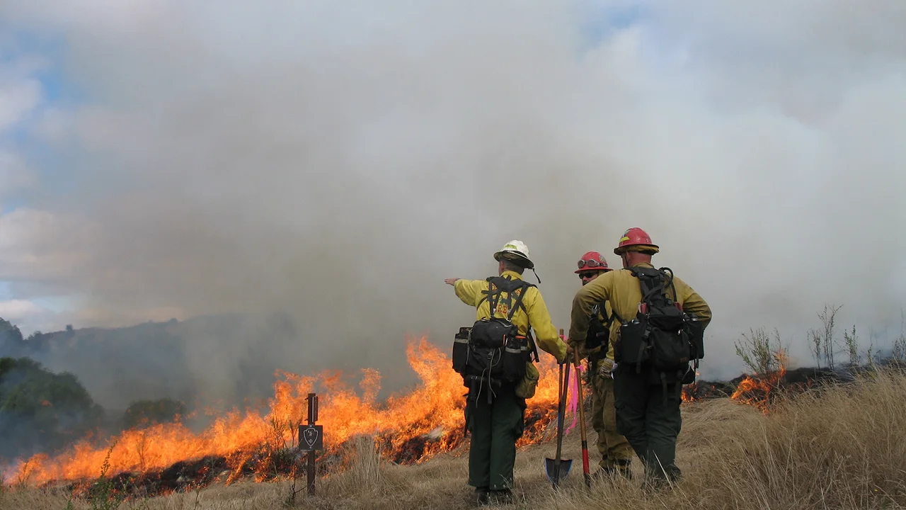 Uniformed firefighters gesture to each other as a prescribed fire burns on the grassy landscape.