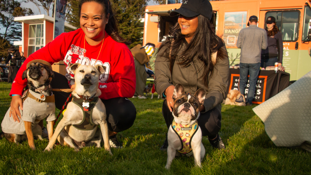 Pawty in the Parks