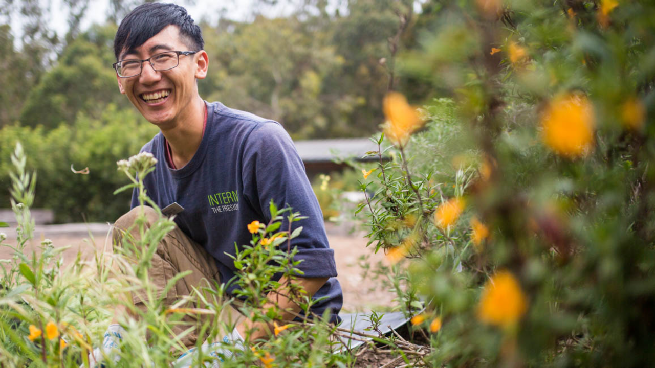 Presidio Intern at Work