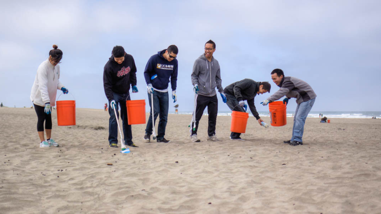 Beach Cleanup