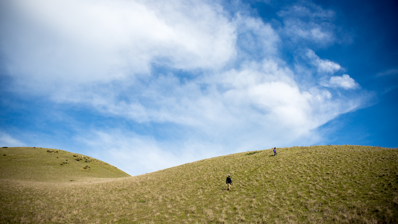 image of bald hill