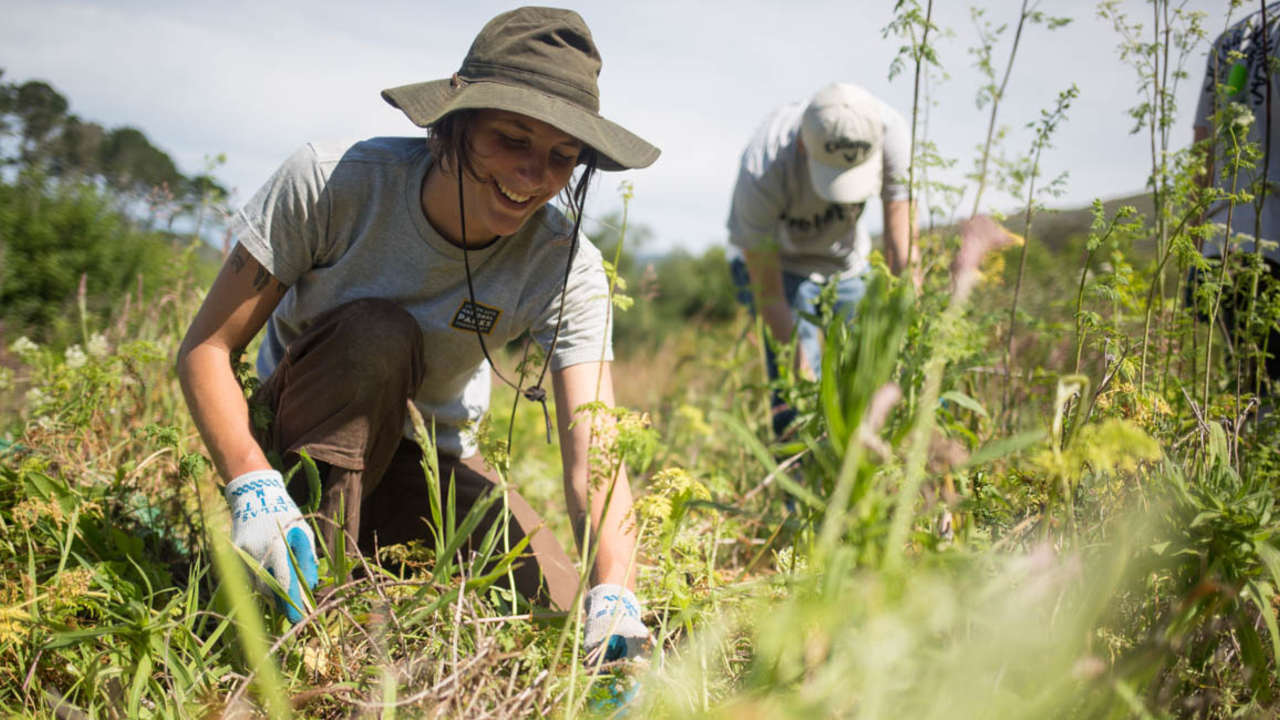 Stewardship Intern at Work