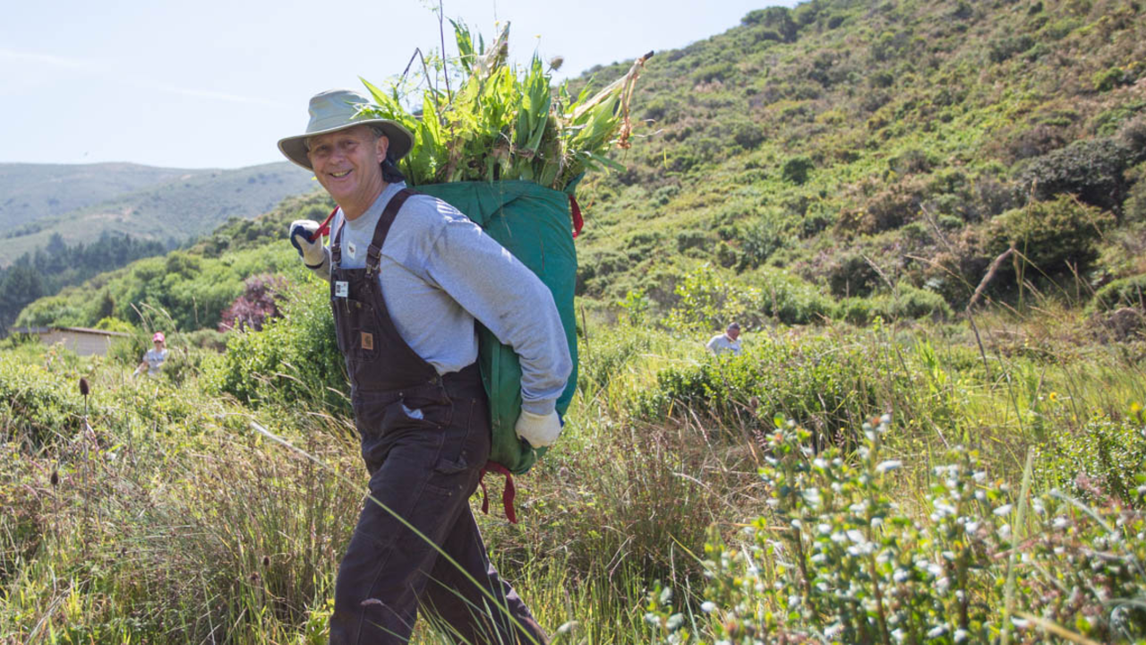 Stewardship Intern at Work