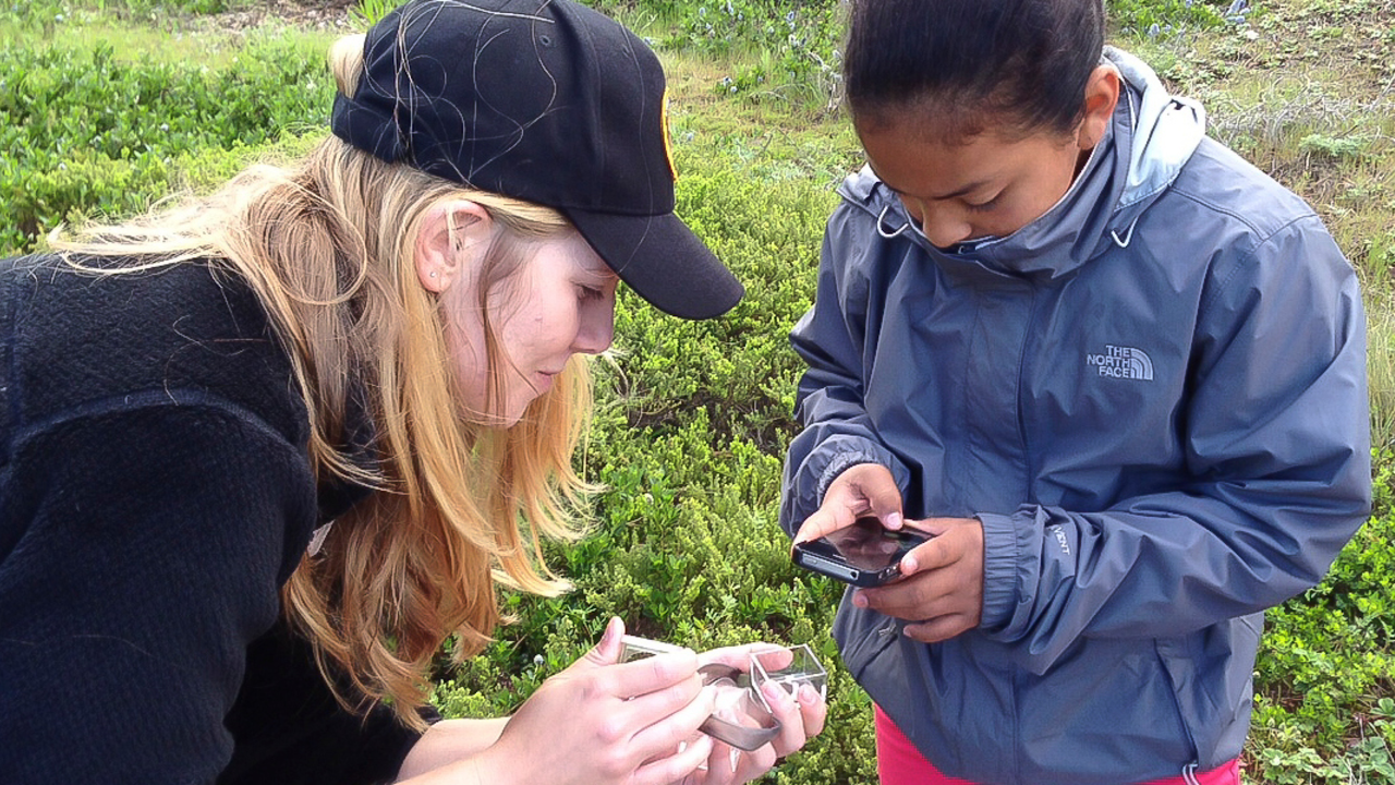 youth using iNaturalist to identify a plant