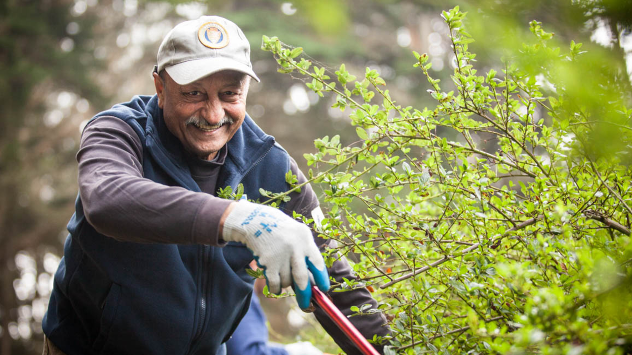 Presidio Volunteer
