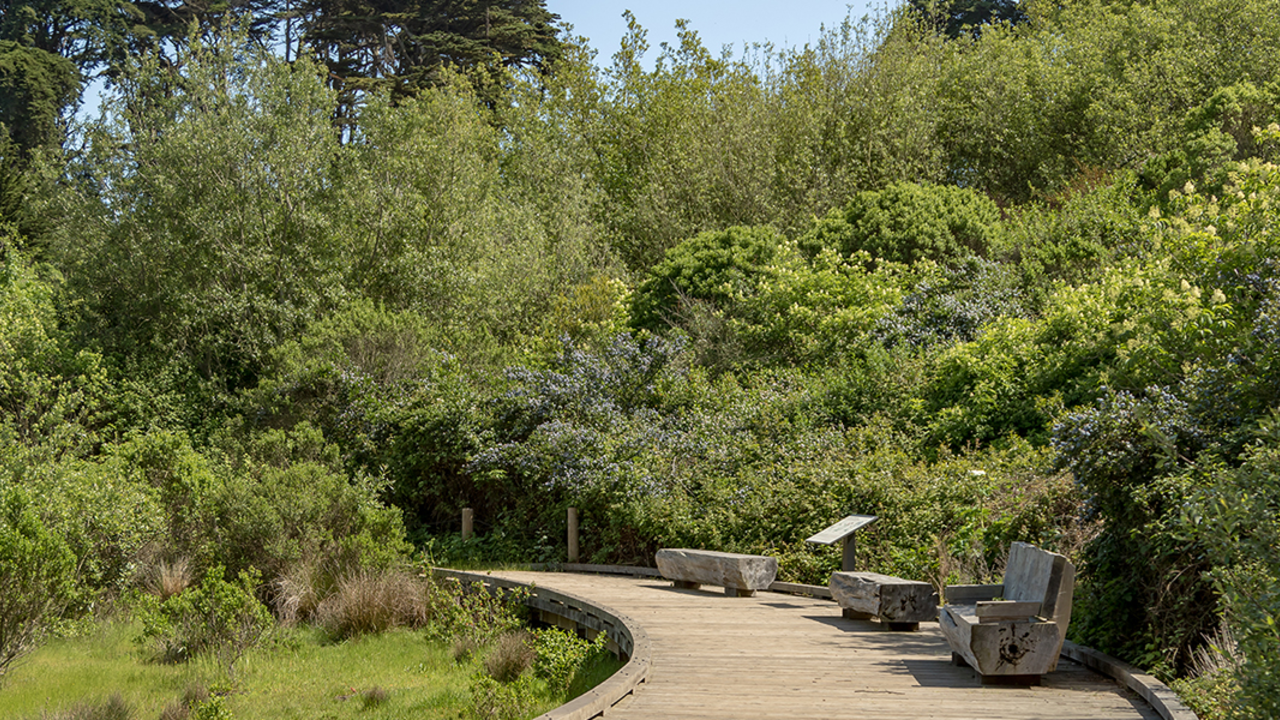 Trail at El Polin Springs, The Presidio