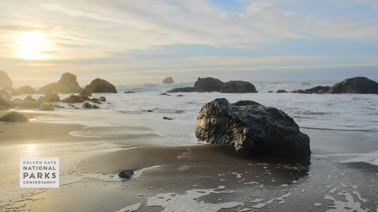 Seal Rocks at Lands End