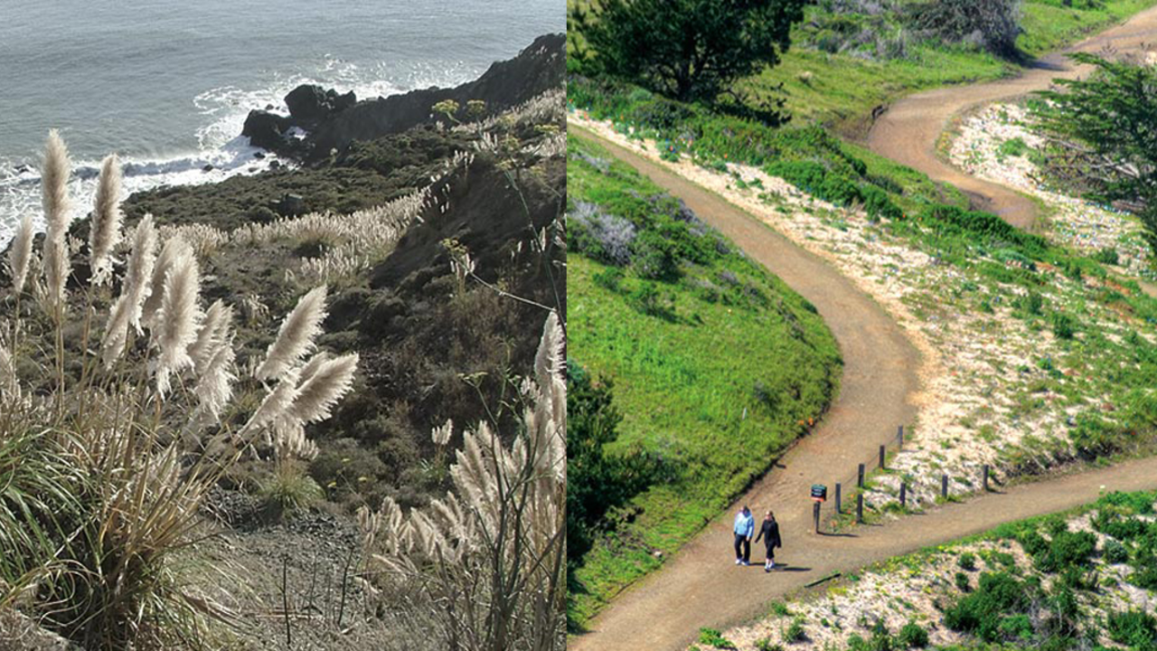 Mori Point before and after restoration