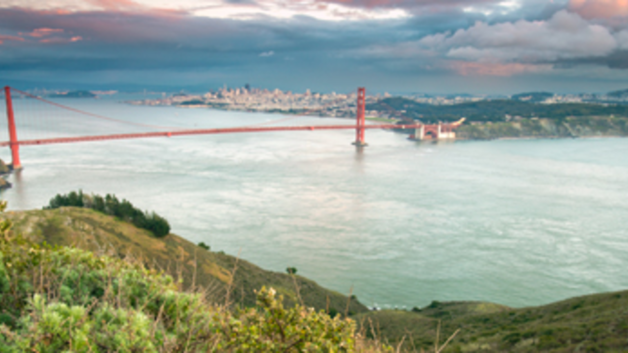 Hawk Hill