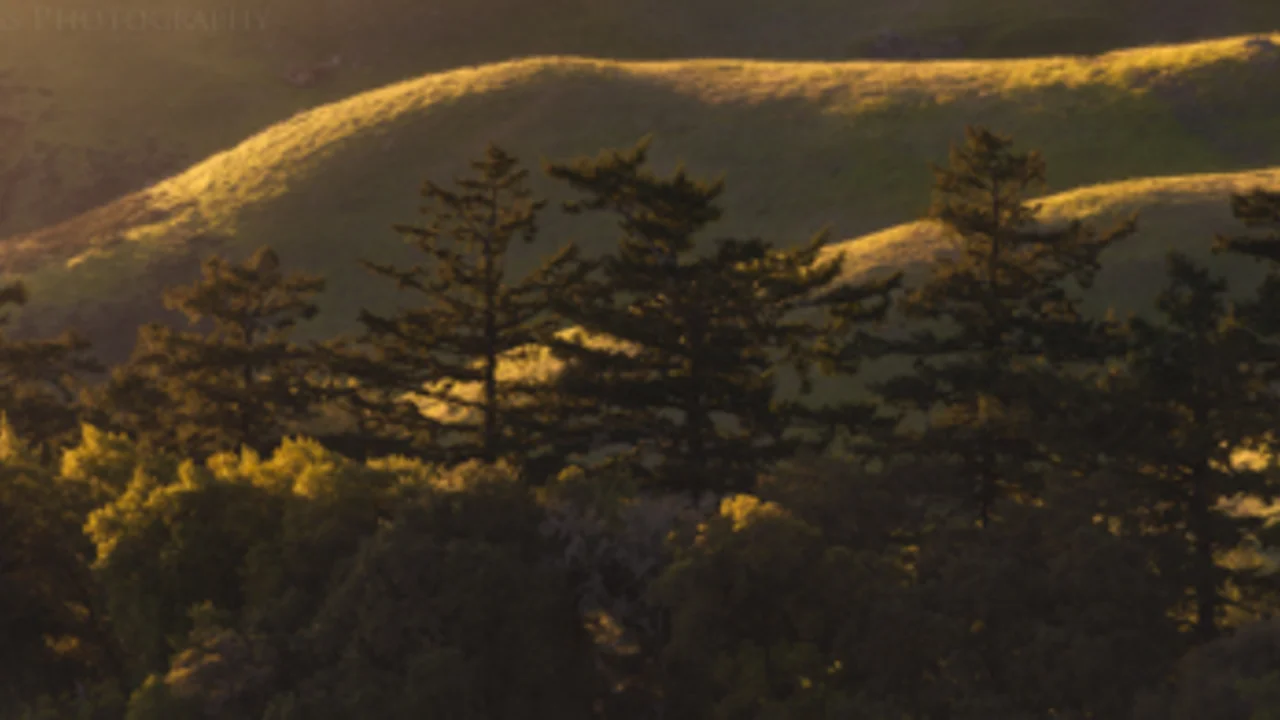 Mount Tamalpais