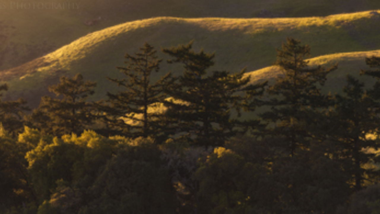 mount-tamalpais.jpg Mount Tamalpais
