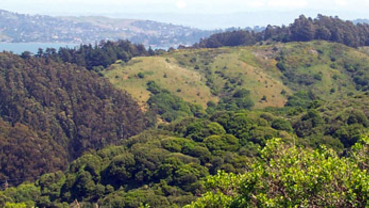 Oakwood Valley