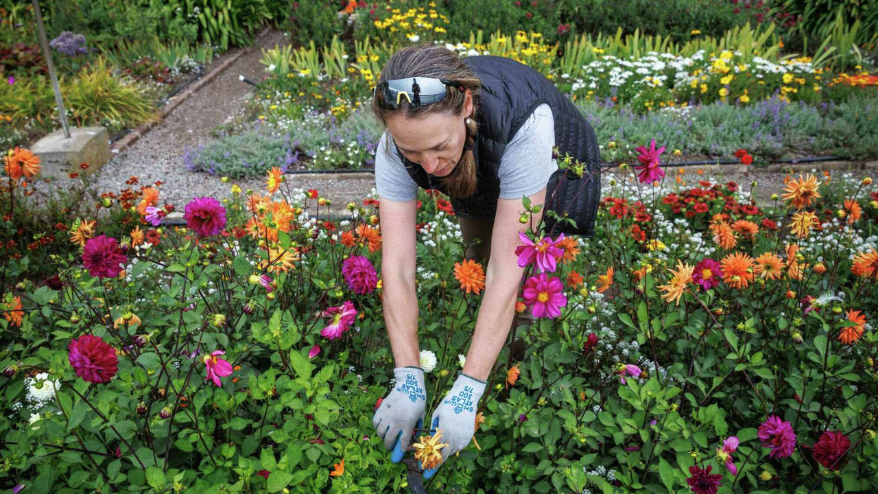 Shelagh Fritz tends to garden beds on Alcatraz Island.