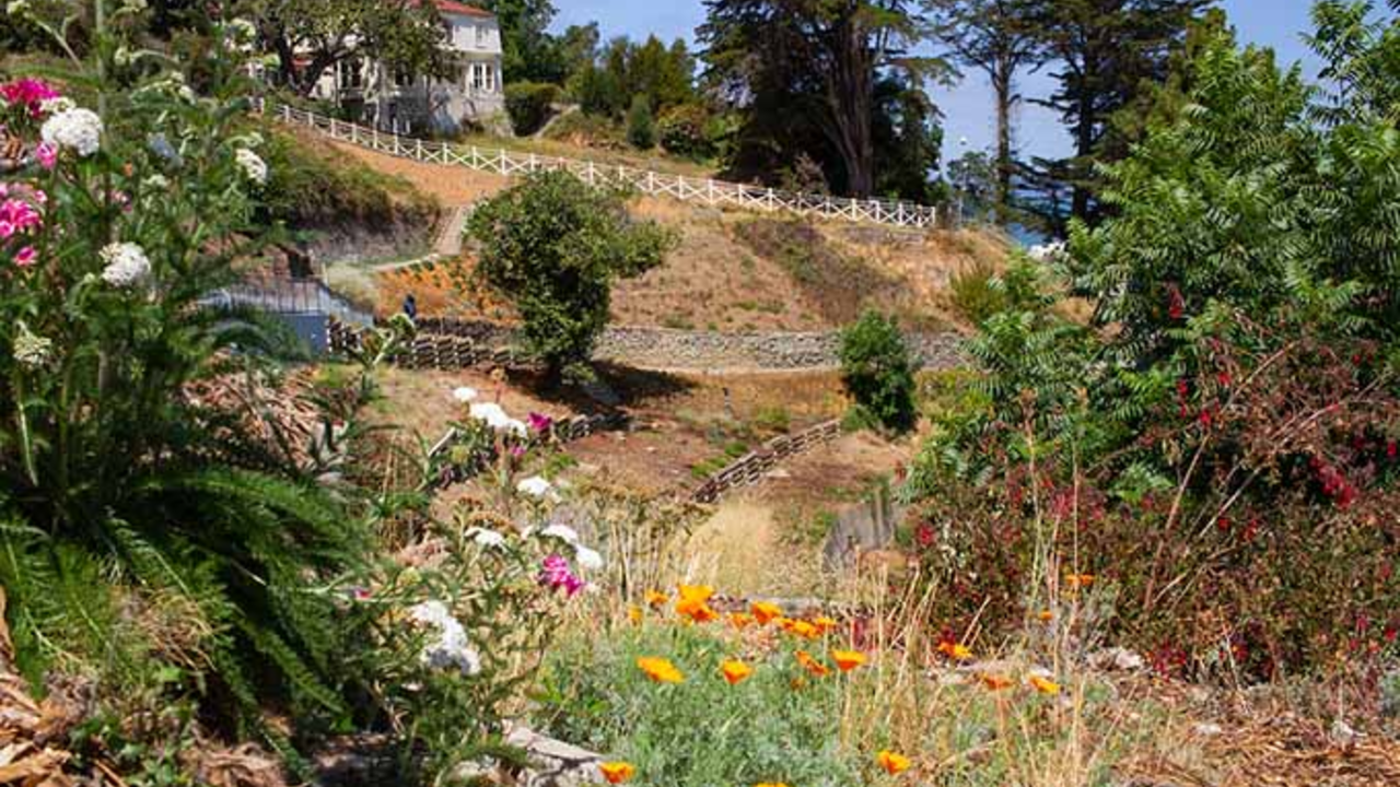 A view of Black Point historic gardens 