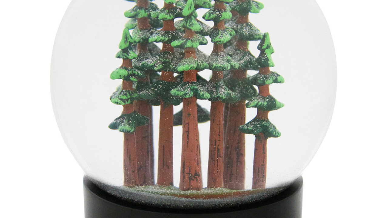 Hand-painted coast redwood trees inside a fog globe. The globe bays says "Redwood Forest, California".