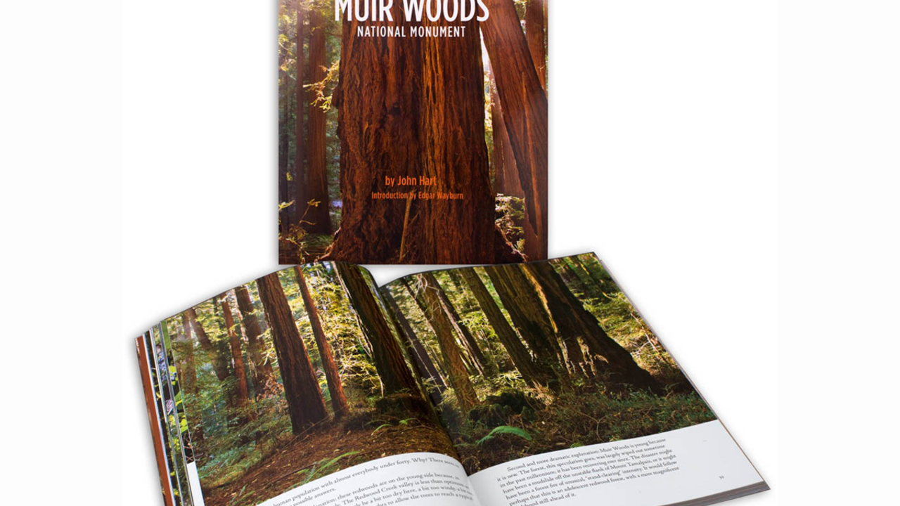 Two Muir Woods National Monument books showing the cover and one of the spreads